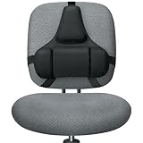 Fellowes Professional Series Back Support, Black (8037601)