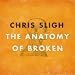 The Anatomy Of Broken The Anatomy Of Broken