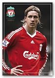 Liverpool - Fernando Torres 24