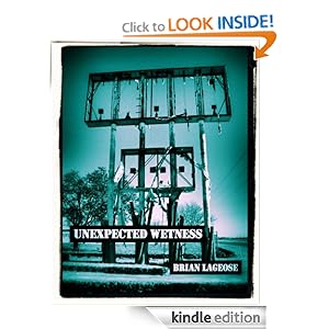 unexpected witness book