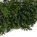 Green Artificial Plant 6 Branches Parsley Grass Home Wedding Decor