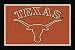 Texas Longhorns "TEXAS" 3' 10" x 5' 4" Team Spirit Area Rug