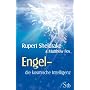Engel - Die kosmische Intelligenz