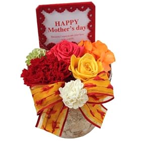 Happy Mother's Day�@�i���b�h/�v���U�[�u�h�t�����[�j