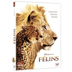 F�lins, le royaume du courage