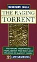 The Raging Torrent: Historical Inscriptions from Assyria and Babylonia Relating to Ancient Israel
