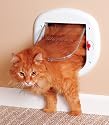 PetSafe 4-Way Locking Cat Door, Large