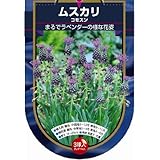 ���i�̏ڍ�