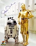 Anthony Daniels autographed 8x10 Star Wars C-3PO photo