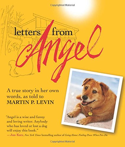 letters from angel a true story in her own words