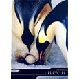 Les d�tails du produit