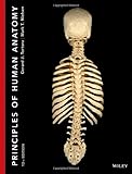Principles of human anatomy