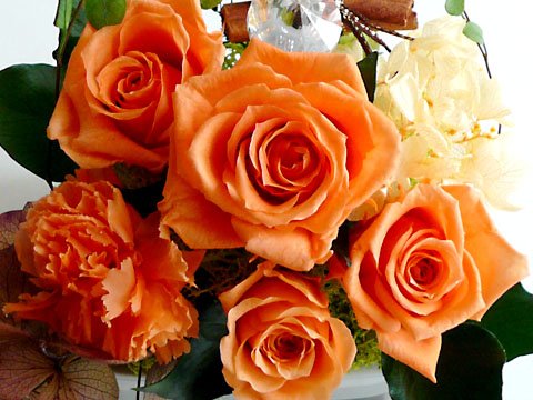 お誕生日から選べる！フラワー風水 土〔do〕 【福を呼び込むフラワー風水 Florist S.F.D】 ～ プリザーブドフラワー 贈物やご自宅のインテリアにどうぞ ～