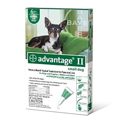 Advantage Topical Flea Treatment for Dogs up to 10 Lbs (6 Applications)