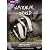 Badgers: Secrets of the Sett