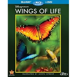 Disneynature: Wings of Life (Blu-ray / DVD)