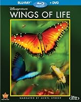 Wings of life