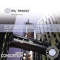 Agile Project and Service Management: delivering IT services using ITIL, PRINCE2 and DSDM Atern