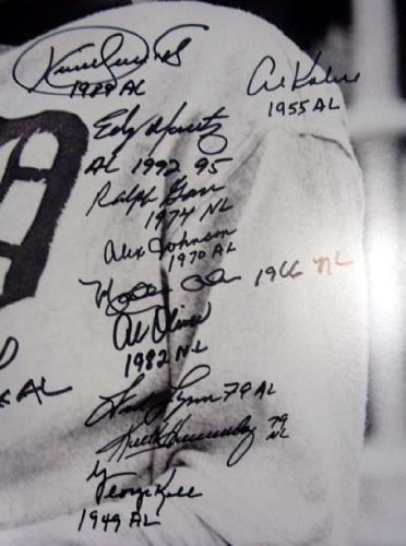 Batting Champions Multi Signed Autographed/Hand Signed 16x20 Ty Cobb Batting Photo (20 Signatures) I