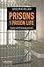 Prisons and Prison Life: Costs and Consequences