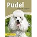Premium Ratgeber Pudel: Groß-, Klein-, Zwergpudel