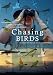 Chasing Birds