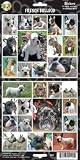 Pet Qwerks S20 French Bulldog Dog Sticker