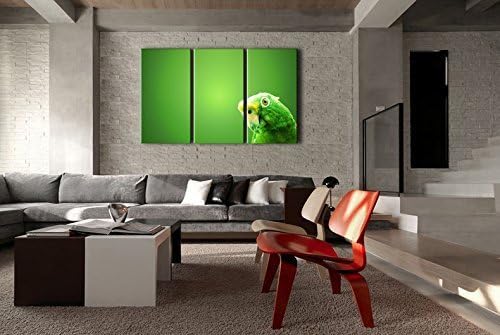Fashion FreeZone 3 Panel Green Wall Art Painting Green Parrot Green Background Pictures Prints On Canvas Animal The Picture Decor Oil For Home Modern Decoration Print
