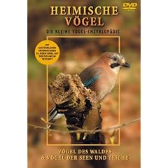 Heimische V�gel - Wald, Seen, Teiche