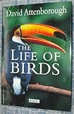 The life of birds