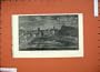 1874 Marriage Festivities Duke Edinburgh Fireworks Art
