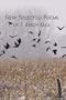 New Selected Poems of T.Byron Kelly
