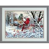 Eigenschaften Dimensions / Cardinals in Winter Malen nach Zahlen mit Acrylfarben