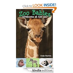 Zoo Babies - Newborns In The Zoo