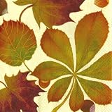 Caspari Set of 2 Golden Chestnut 2 Paper Cocktail Napkin Package, Ivory