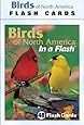 Impact Photographics IMP2FLC Flash Cards Birds North American