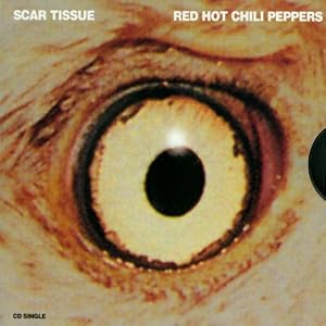  Scar Tissue 