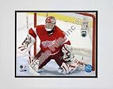 Dominik Hasek 