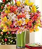 200 Blooms