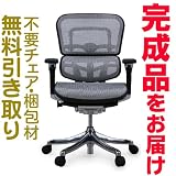エルゴヒューマンプラス　完成品　ロータイプ　エラストメリックメッシュ　ホワイト　Ergohuman plus ＥＨＰ-ＬＡＭ　ＫＭ-16の画像