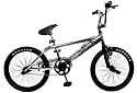 2009 Big Daddy Chrome Freestyle Gyro BMX + Pegs