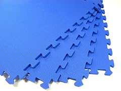 240 Square Feet ( 60 tiles + borders) 'We Sell Mats' Blue 2' x 2' x 3/8" Anti-Fatigue Interlocking EVA Foam Exercise Gym Flooring 