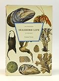 Seashore life in colour