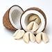 Gourmet Food : 100 Personalized Fortune Cookies - Coconut