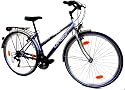LANDER Damen Trekking Fahrrad 28" Zoll (=71,1cm) 18 Gang Shimano StVZO