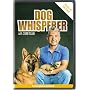 Dog Whisperer with Cesar Millan: Power of the Pack (REGION 1) (NTSC)