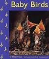 Baby Birds (Birds) (Pebble Books)