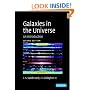 Galaxies in the Universe: An Introduction