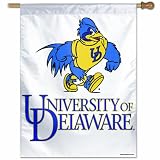 NCAA Delaware Fightin Blue Hens 27-by-37 inch Vertical Flag