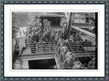 Photo (L): 335th Inf.